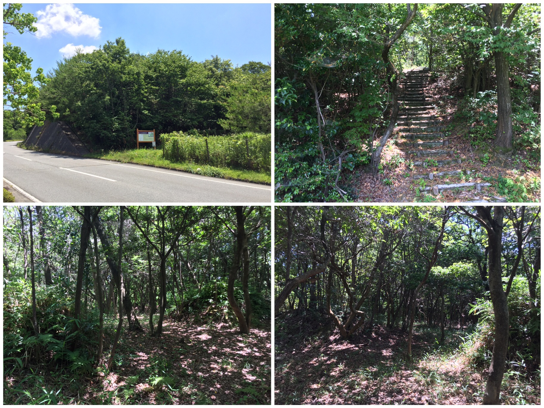 Ride in Setouchi & San-in Day 102 (25/6/19) Miki Castle