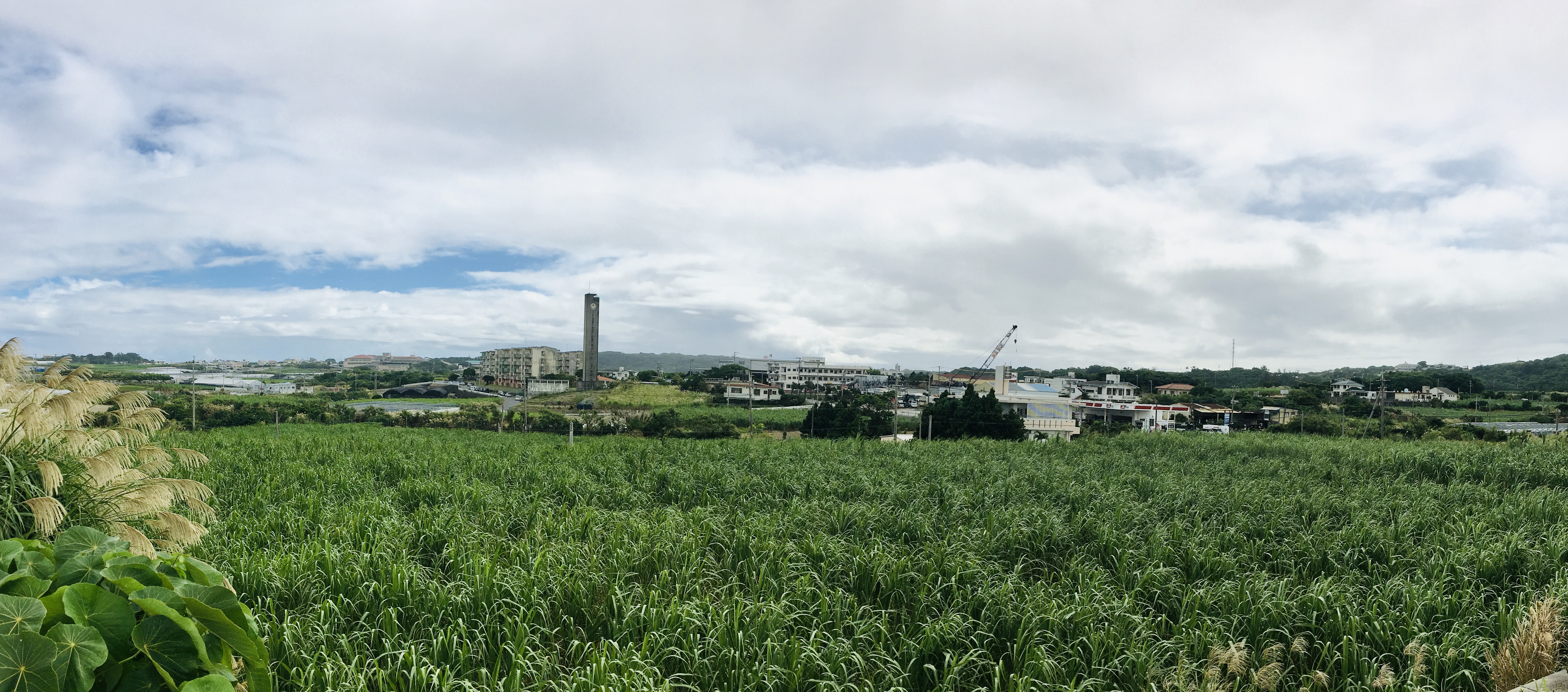Okinawa 沖縄 #2 Day 53 (7/11/20) 旧具志頭 (3) Ooton Hamlet