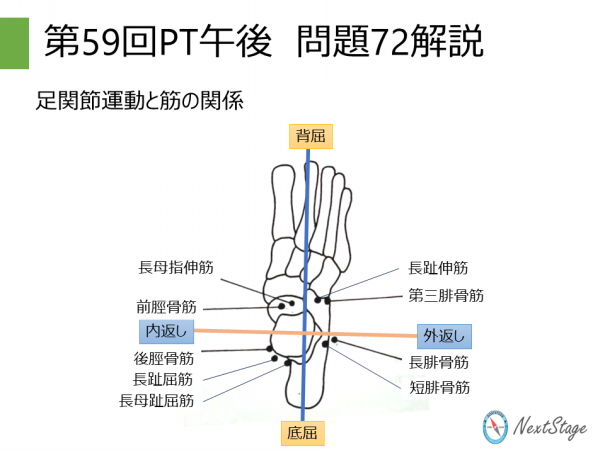 第59回PT国家試験 午後問題72 | 国試塾ネクストステージ