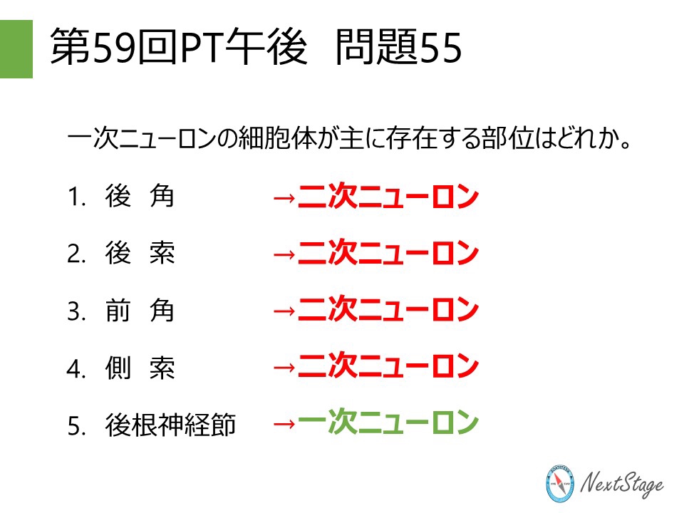 第59回PT国家試験 午後問題55 | 国試塾ネクストステージ