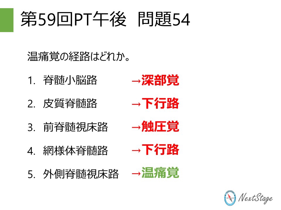 第59回PT国家試験 午後問題54 | 国試塾ネクストステージ