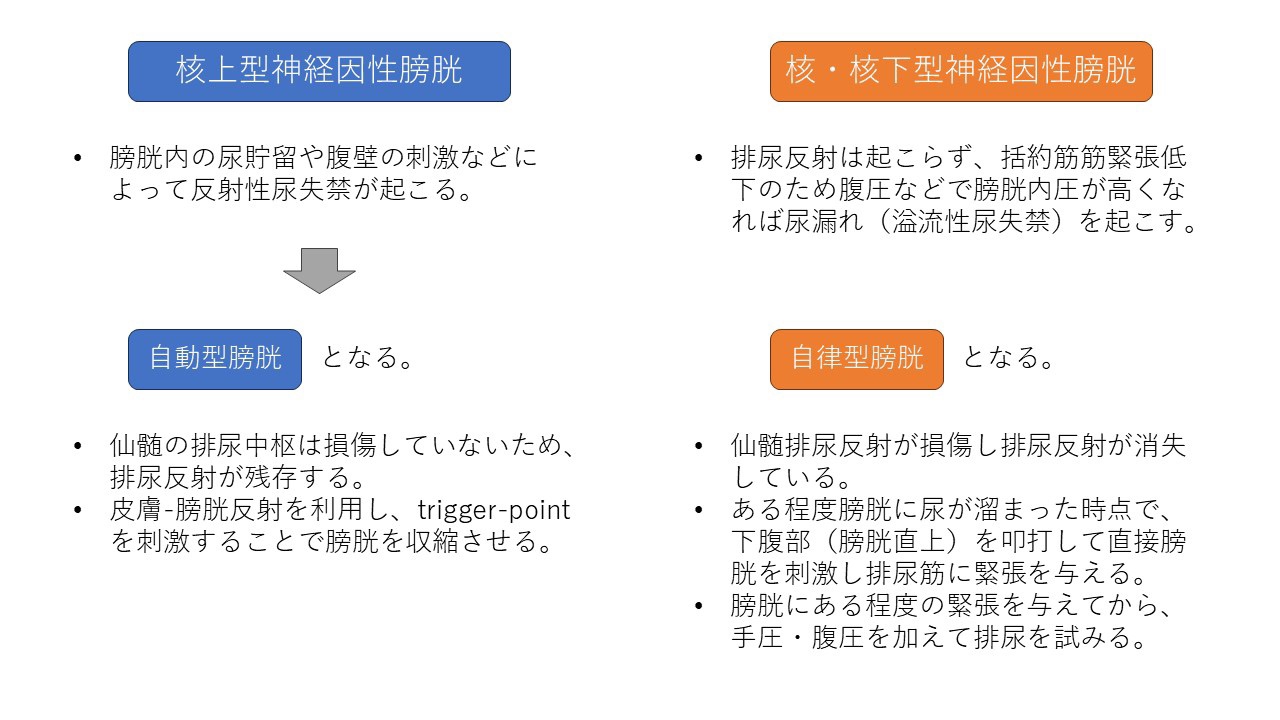 これは解けるかな？第4弾 | 国試塾ネクストステージ