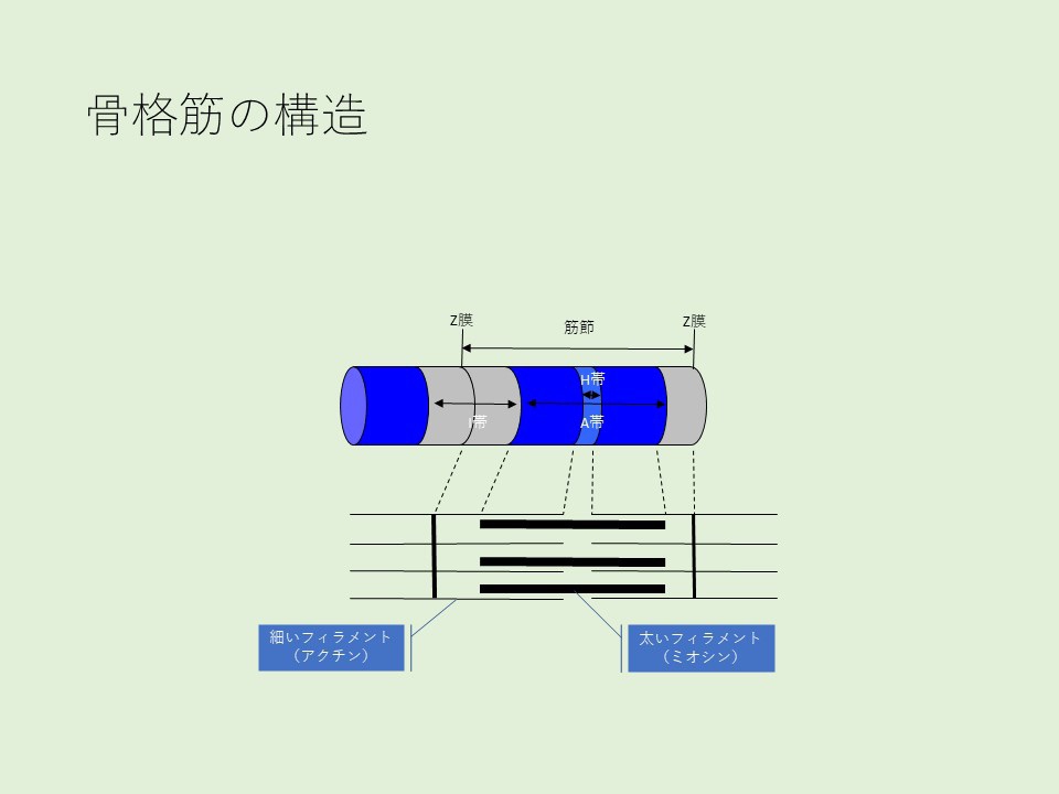 続・作業療法の視点 51qy+kaP4dL._AC_SY200_QL15_.jpg