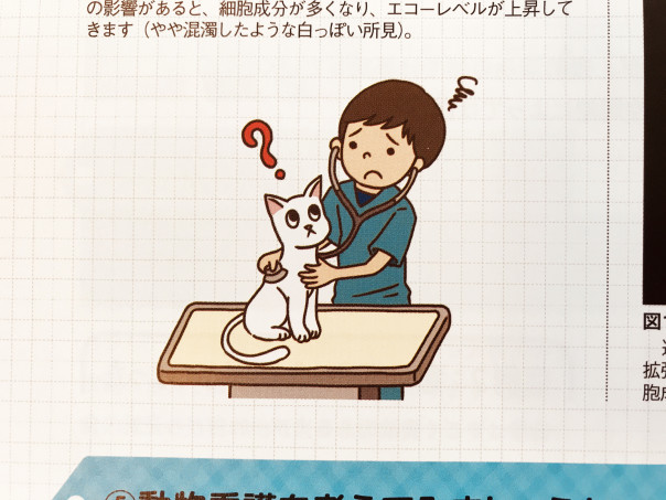 動物看護専門誌as 年9月号 エデュワードプレス イラストレーター チョッちゃん 児童書 教材 教科書