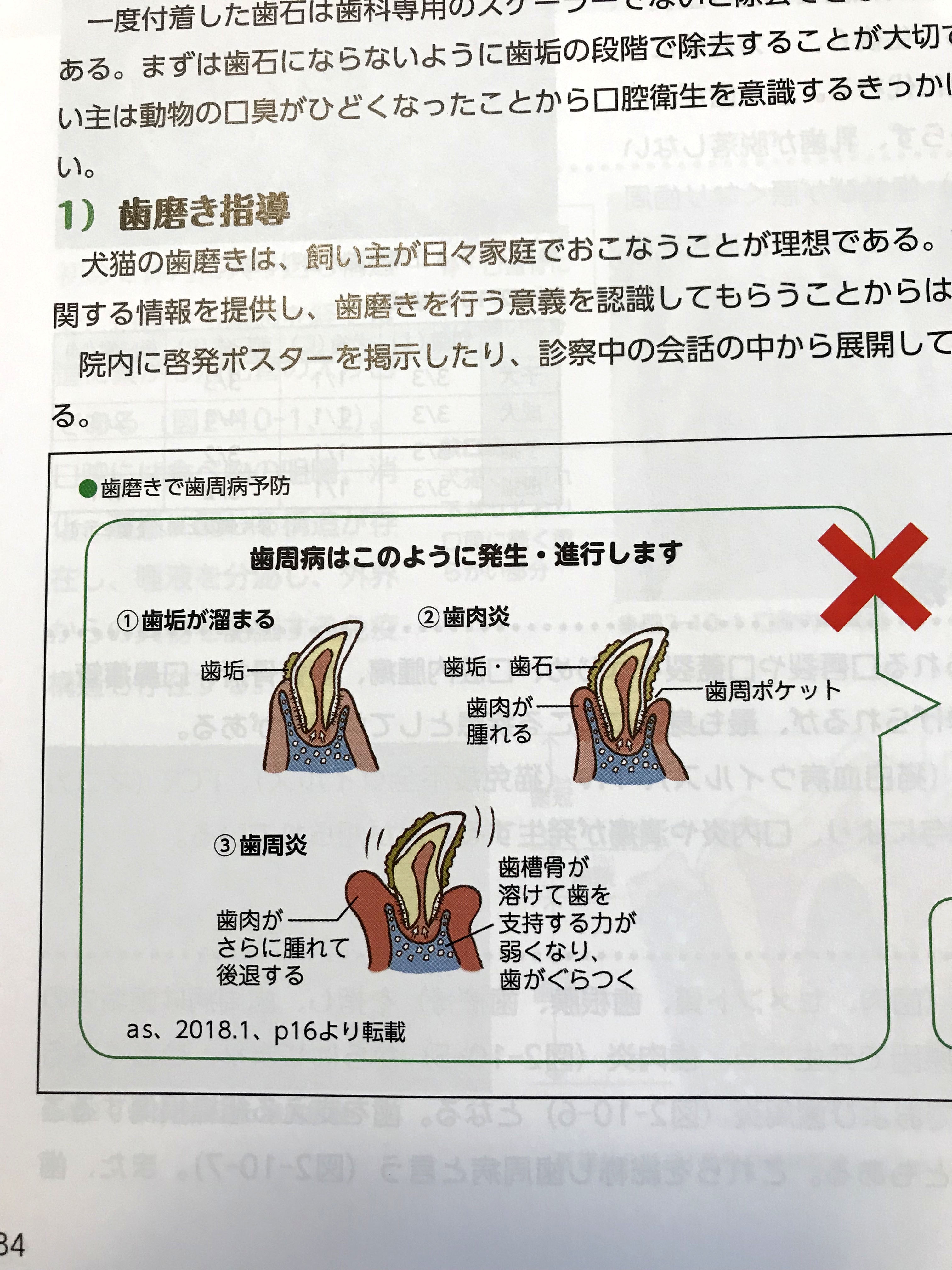 認定動物看護師教育コアカリキュラム2019準拠『動物看護実習テキスト第 ...