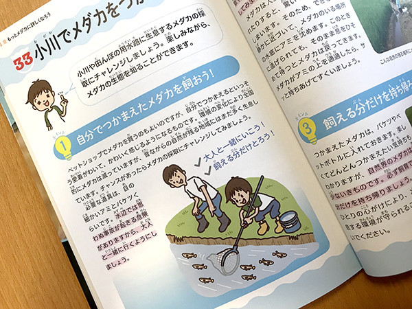 小学生でも安心 はじめての金魚 メダカ 正しい飼い方 育て方 イラストレーター チョッちゃん 児童書 教材 教科書