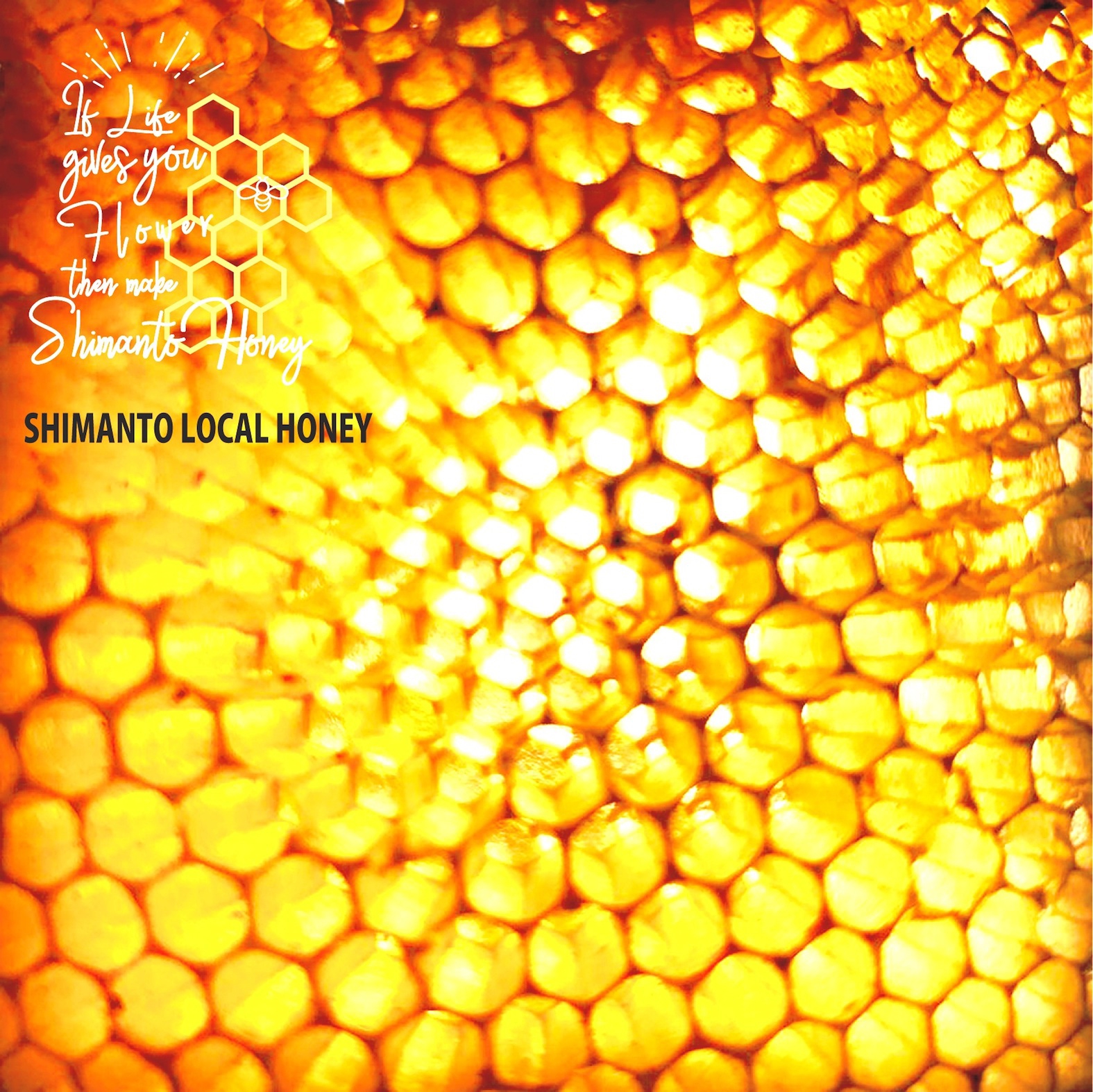 アルマダ　honeyさま専用 ◎オイルセラム【argan＆honey】Oil Serum Argan & Honey 30ml