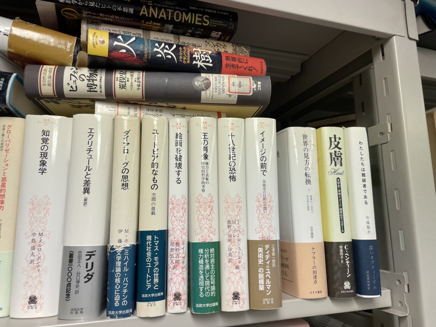 ブックカーニヴァル　Bookcarnival 高山宏 りんかん老人読書日記: 高山宏さんの『ブック・カーニヴァル』は