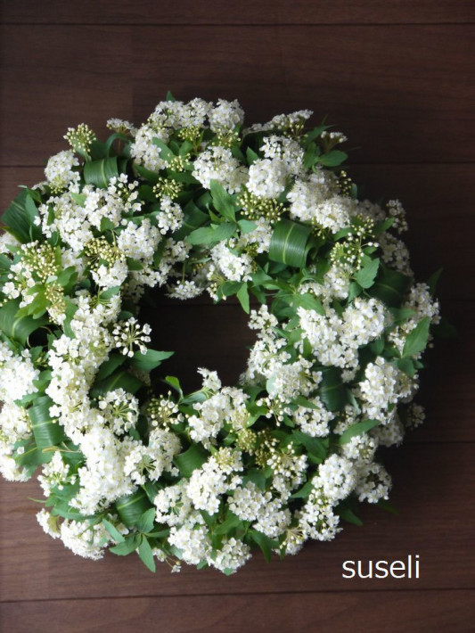 コデマリのリース Suseli コデマリのリース Suseli