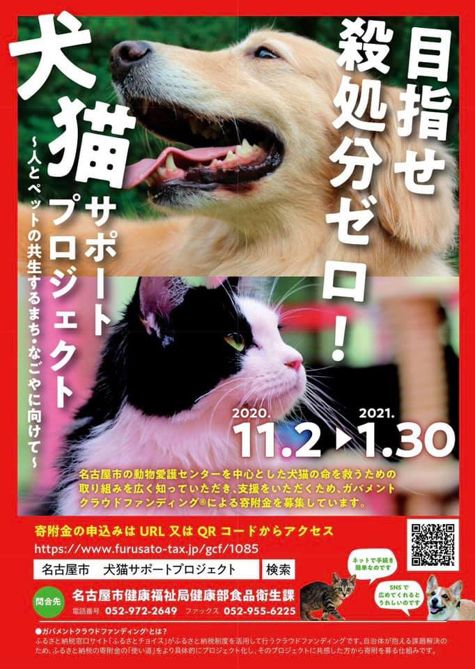 ニュース 名古屋市 目指せ殺処分ゼロ 犬猫サポートプロジェクト を実施します お金の地産地消 をデザインする 合同会社めぐる