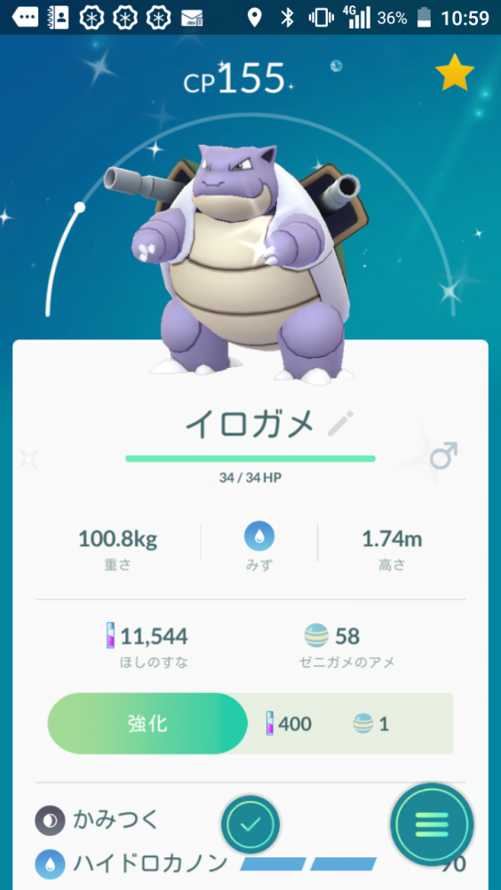 色違いゼニガメ コバックの呟き