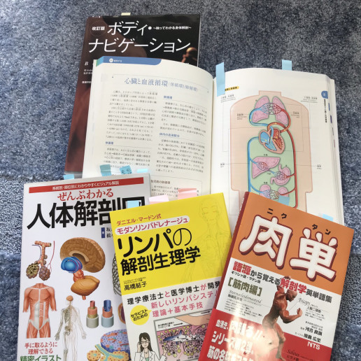 スクール4回目 血液とリンパを知る シェービングスクール名古屋校 ハーモニー スクール生募集中 スクール4回目 血液とリンパを知る シェービングスクール名古屋校 ハーモニー スクール生募集中
