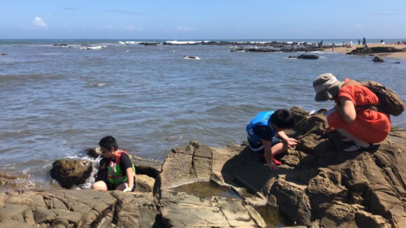 磯遊びin銚子 犬吠崎 海鹿島 Mar S Blog 磯遊びin銚子 犬吠崎 海鹿島 Mar S Blog
