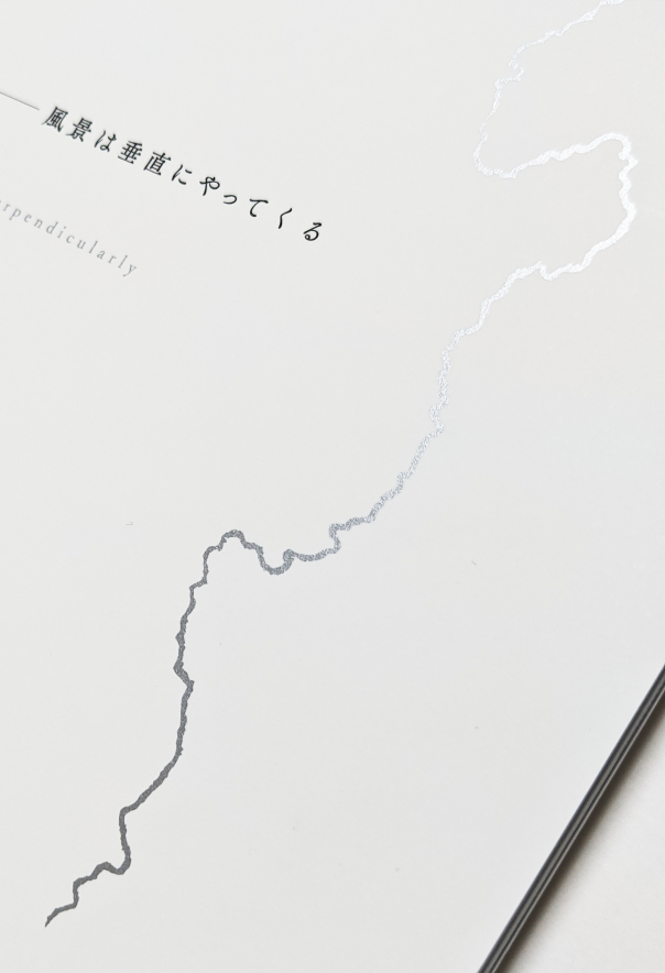 田中信太郎展ー風景は垂直にやってくる | Ryan LLC