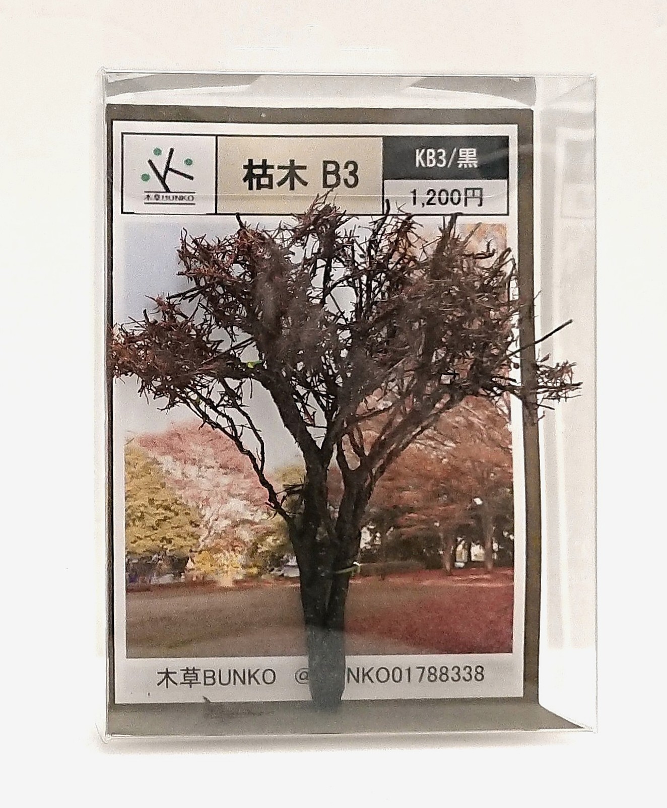 枯木 B3 / 黒・小枝付 | 木草BUNKO