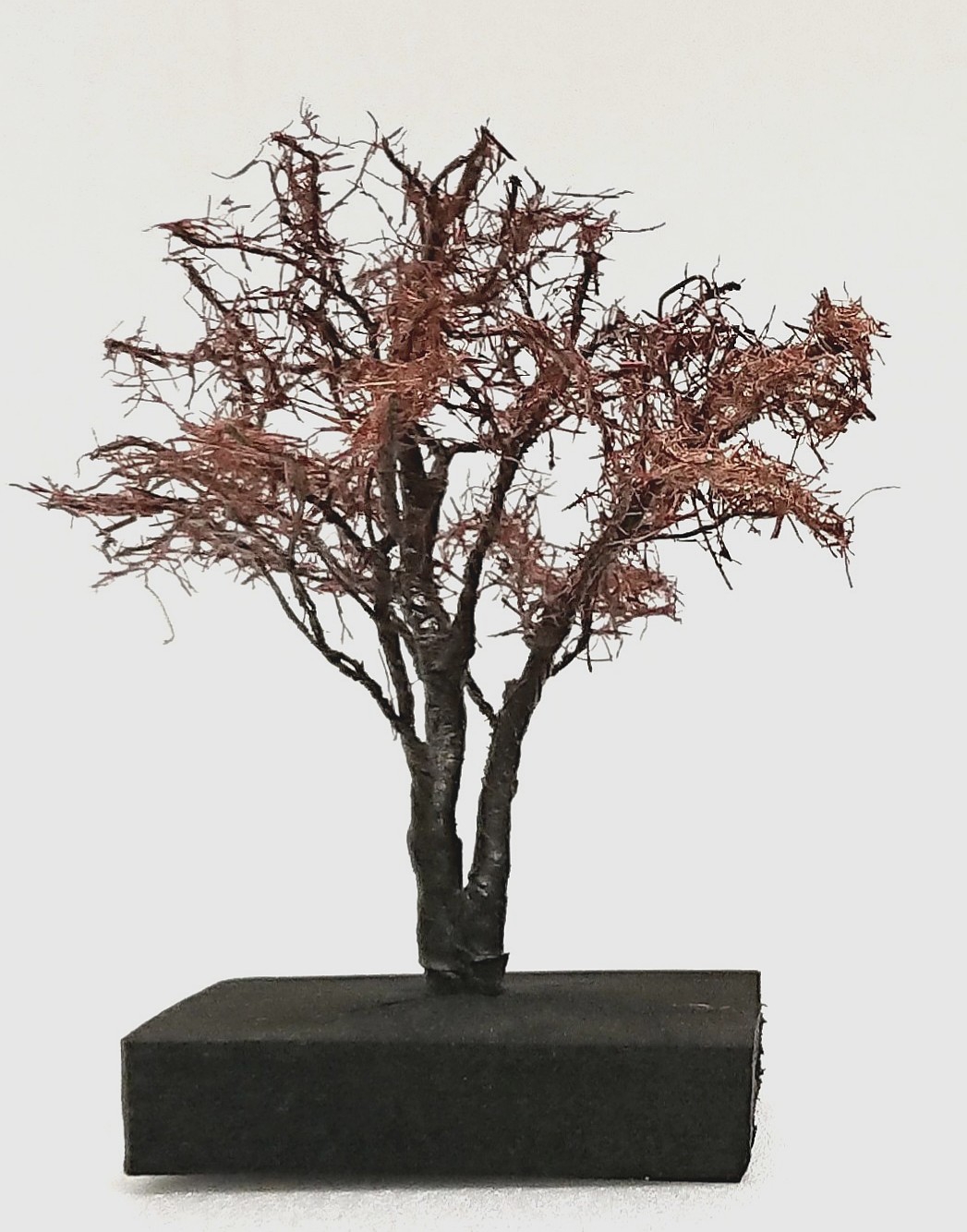 枯れ木 ニュースリリース】ハイブリッド木質耐火部材『COOL WOOD-ST