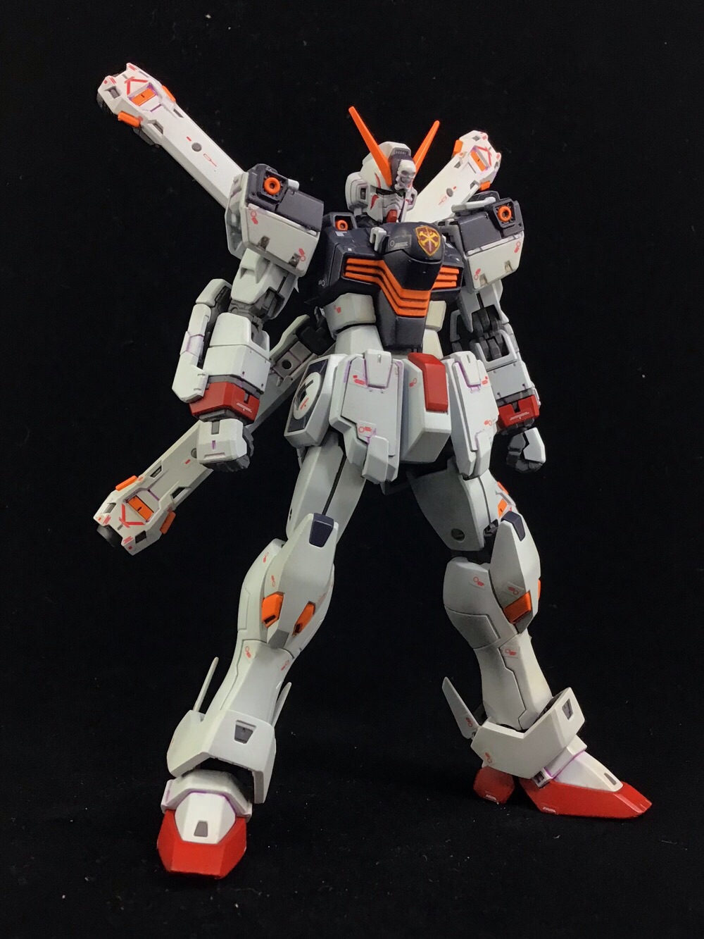 RGクロスボーンガンダムX-1 | 模型店ソーイ(sow-i）