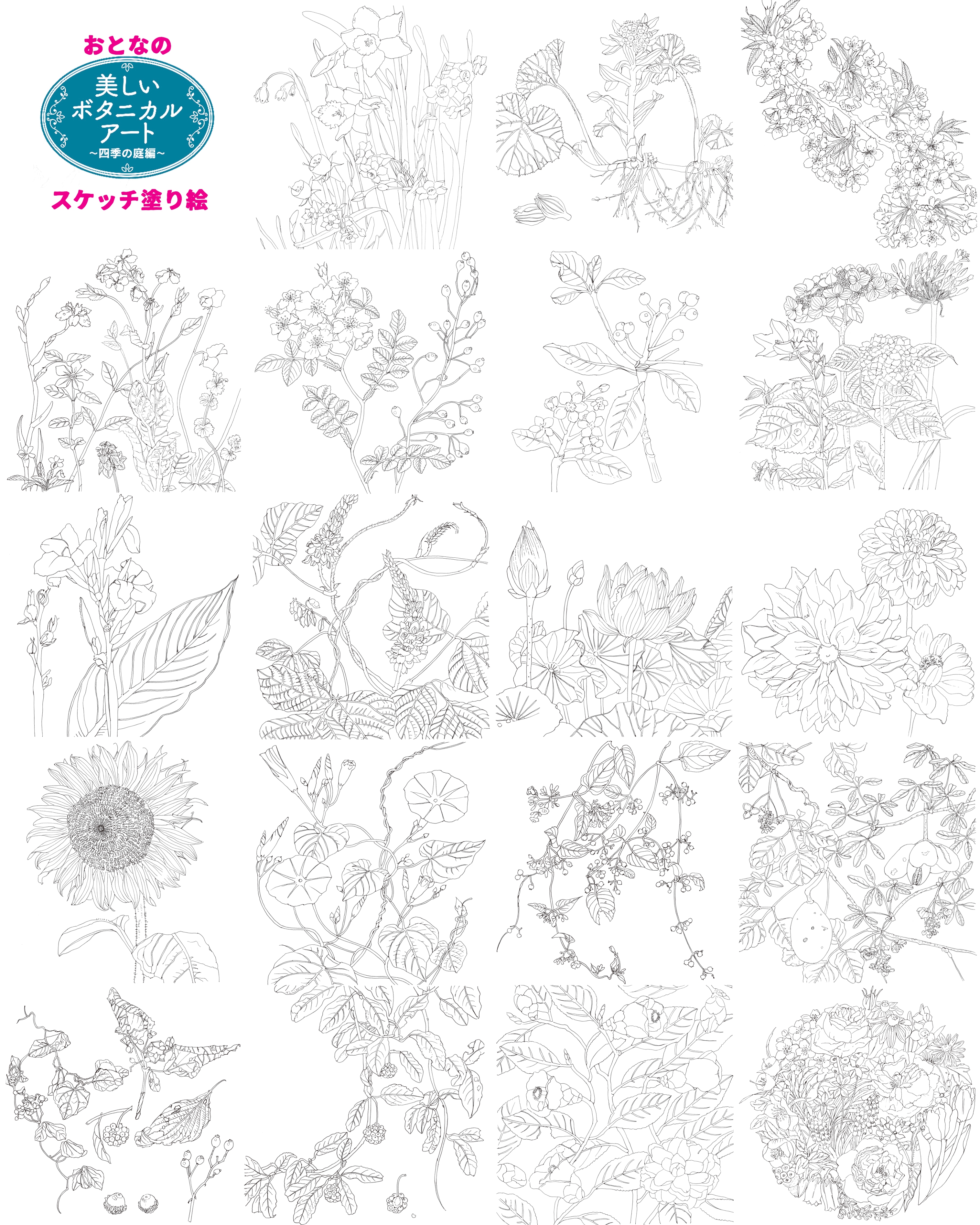 ボタニカルアート 植物画 枇杷 原画 一点物 中山明子-