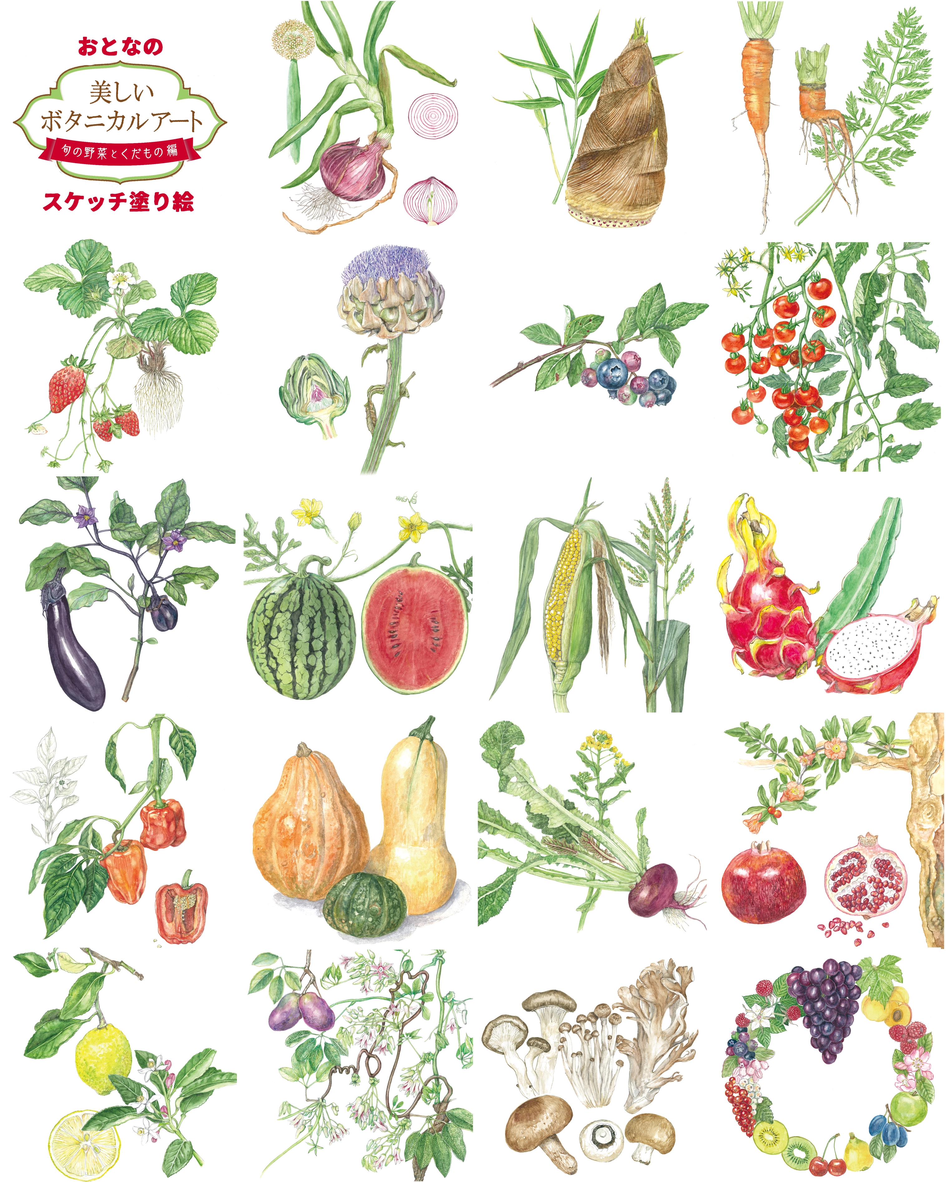 美しいボタニカルアート 旬の野菜とくだもの 中山明子ボタニカルアート ラブアースギャラリー