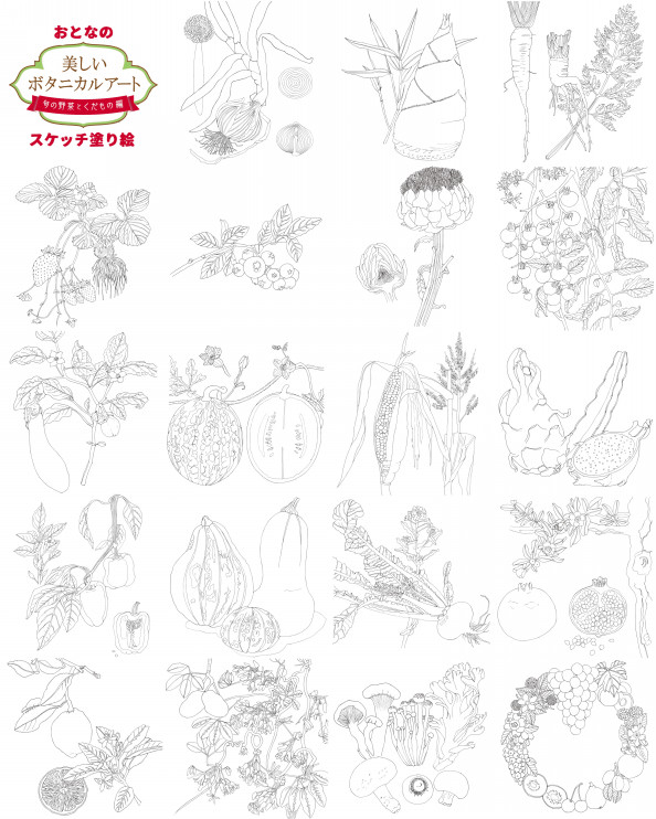 美しいボタニカルアート 旬の野菜とくだもの 中山明子ボタニカルアート ラブアースギャラリー
