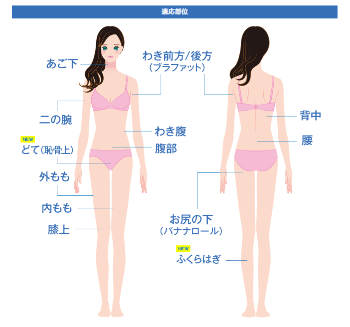 夏に向けてダイエット でも運動は嫌 湘南美容クリニック 立川院 夏に向けてダイエット でも運動は嫌 湘南美容クリニック 立川院