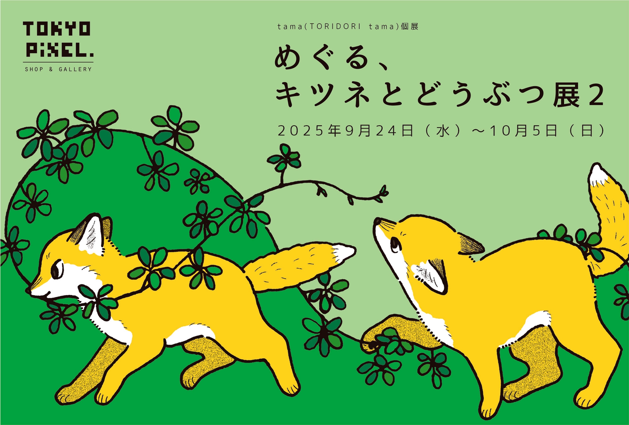 ギャラリーB】2024年3月6日（水）～24日（日）せりのりか個展