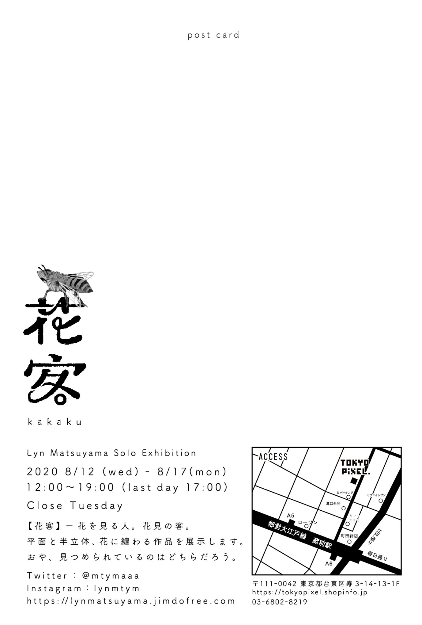花穏さま専用 花日和さんオリジナル‼ 希少種 八重咲き日々草 ソラリス3.5号2個セット