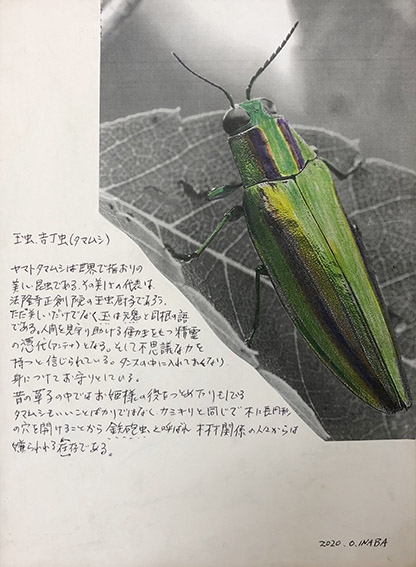 No.447 稲葉 治展 「標本箱・トンボの視点から」-木彫