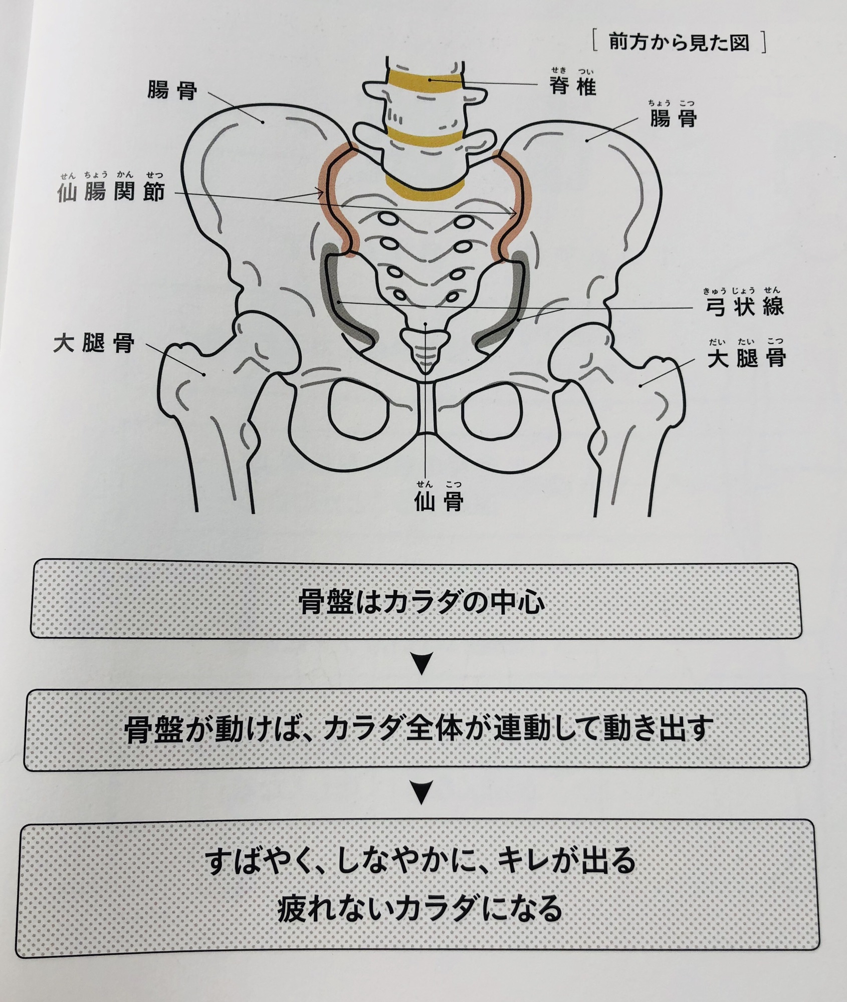 腸 ボール テニス 仙 関節