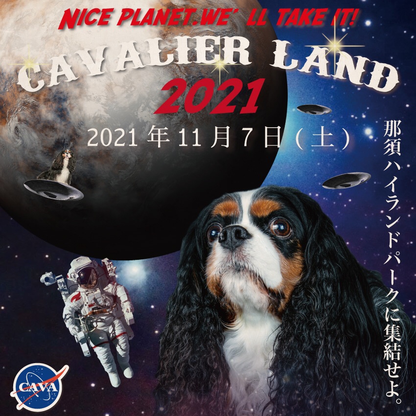 Cavalier Land 21