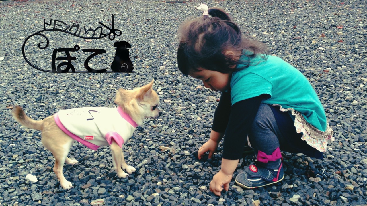 トリミングハウスぽての写真(鳥取県伯耆町)