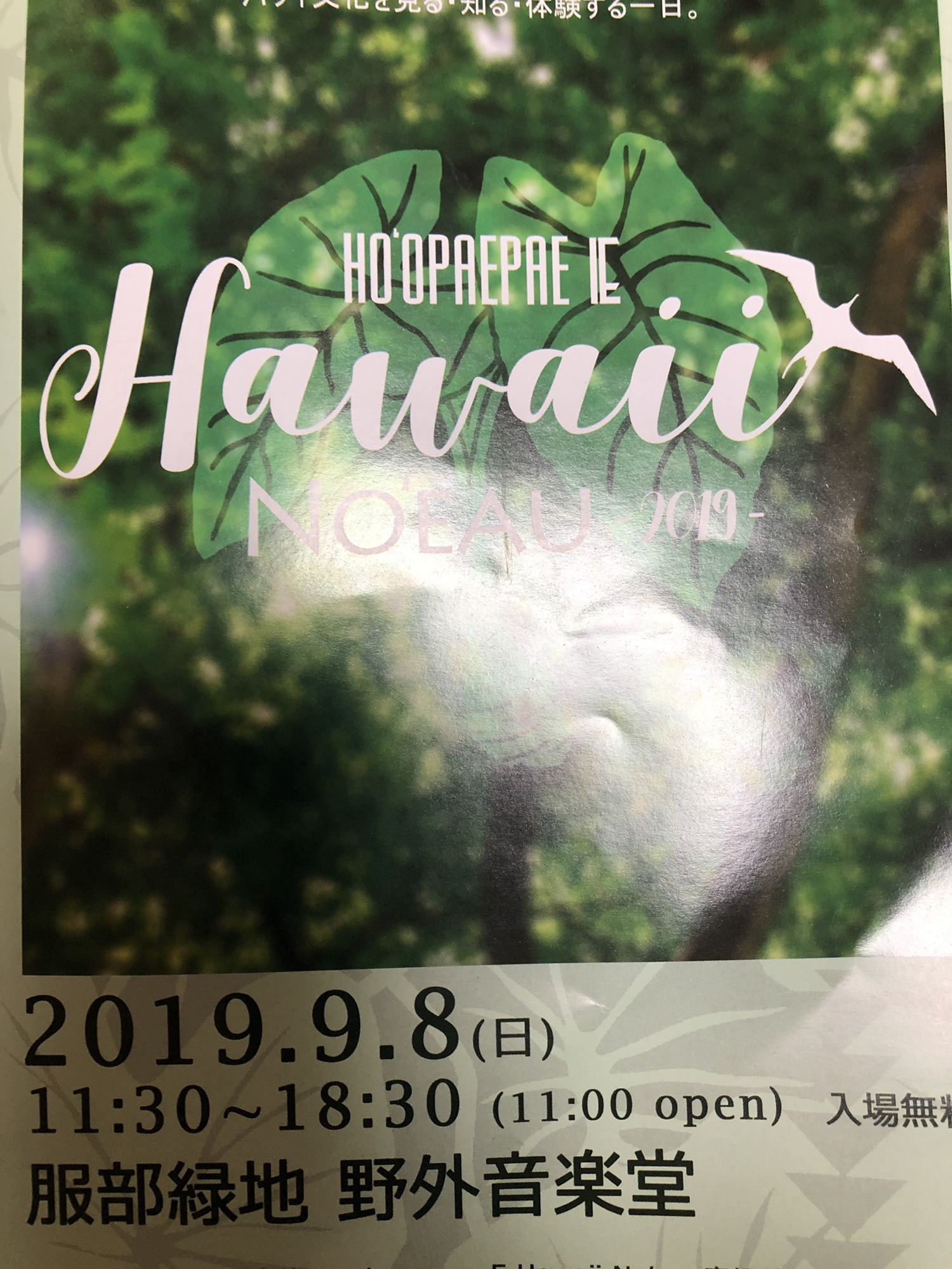 服部緑地イベント 川西市 尼崎市 池田市フラダンス 教室 Melia Hula Studio