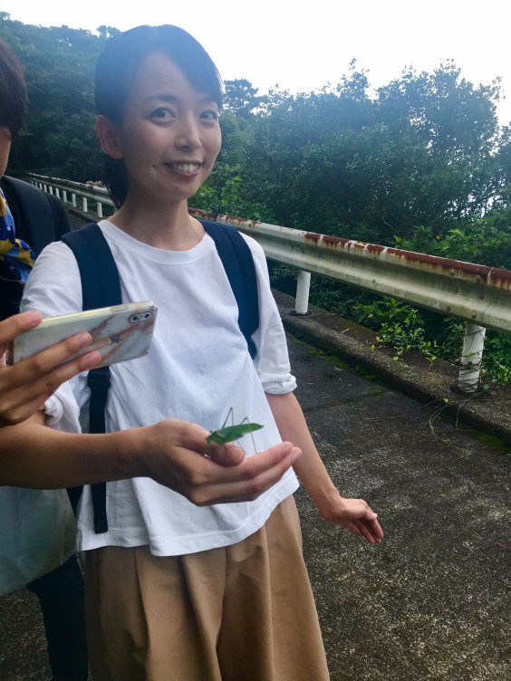 泥濘む 点と Web