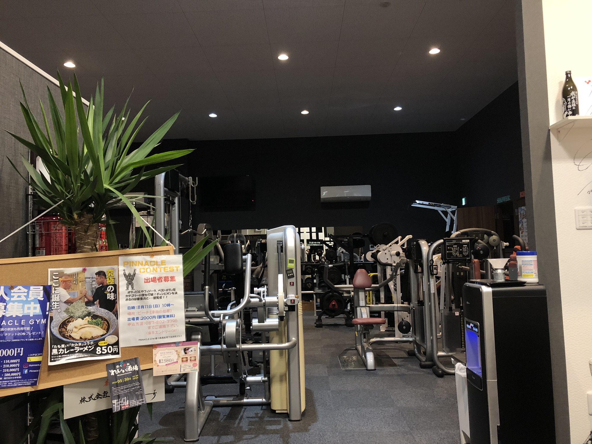 明日は津田の海水浴場 集合 ️🏝 PINNACLE GYM