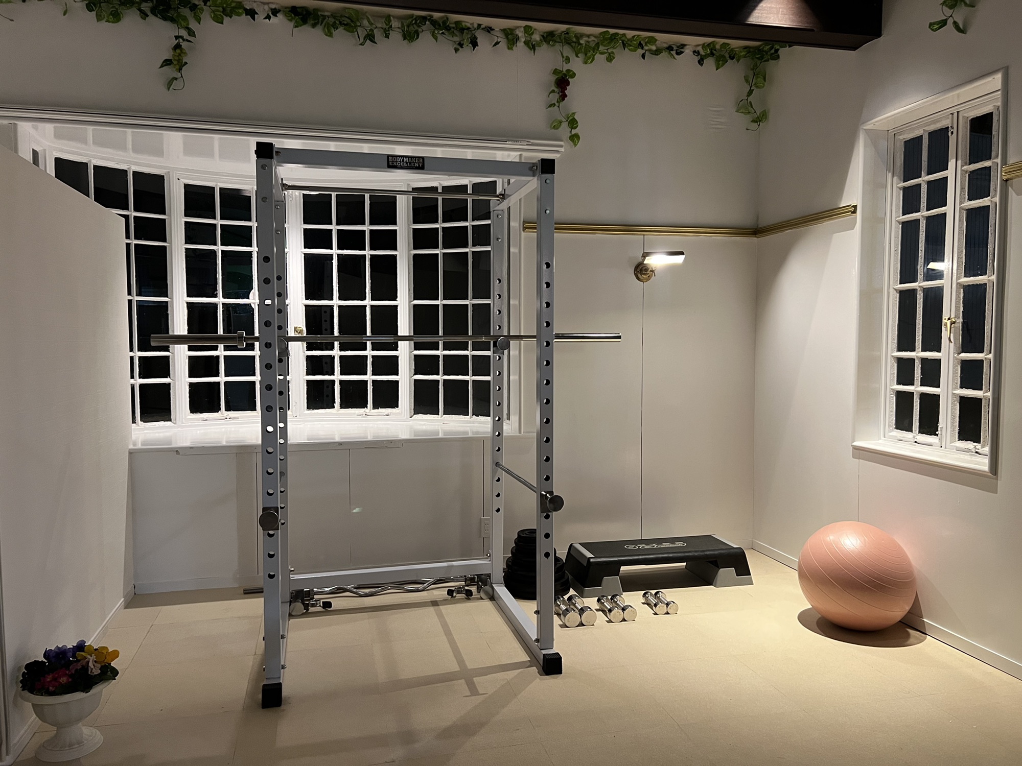 姉妹店オープン！ PINNACLE GYM