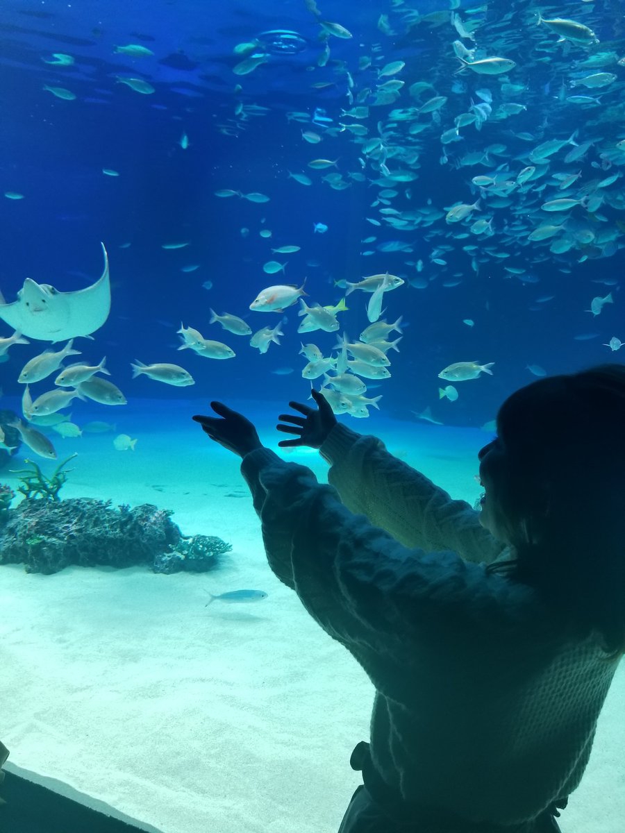 藤本葵さんprofile Drive Me Crazy Salt