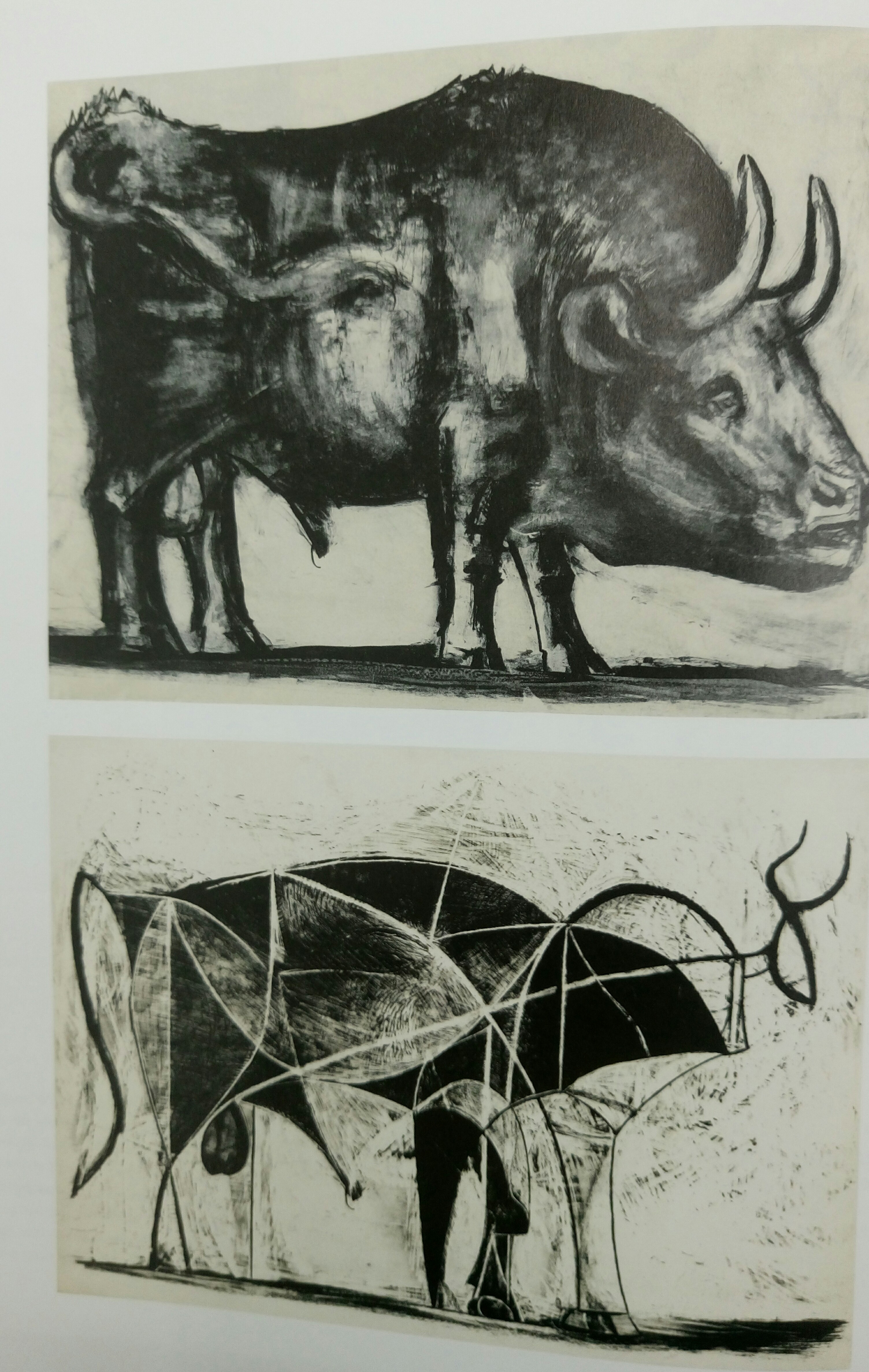 ピカソの牛 絵を描く教室 クレアート