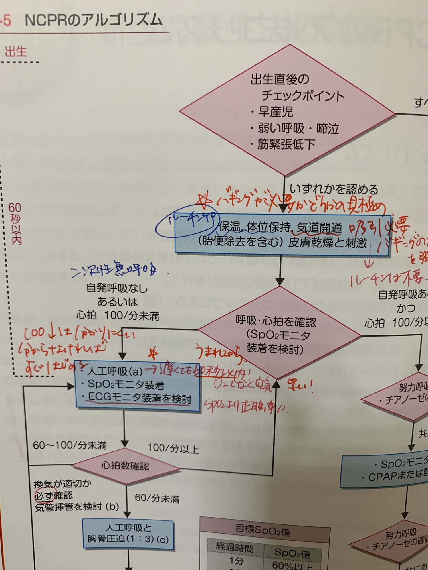 新生児蘇生 バギングとは