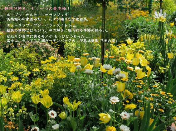 浜名湖花博１５年目の春 浜名湖ガーデンパーク 情報サイト