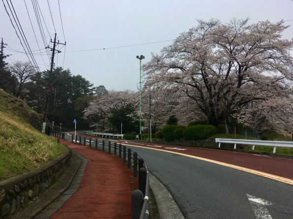 耳をすませば 聖地巡礼インターバル練 みやざきフレンド 東京都府中市の自転車屋 ロードバイク マウンテンバイクショップ