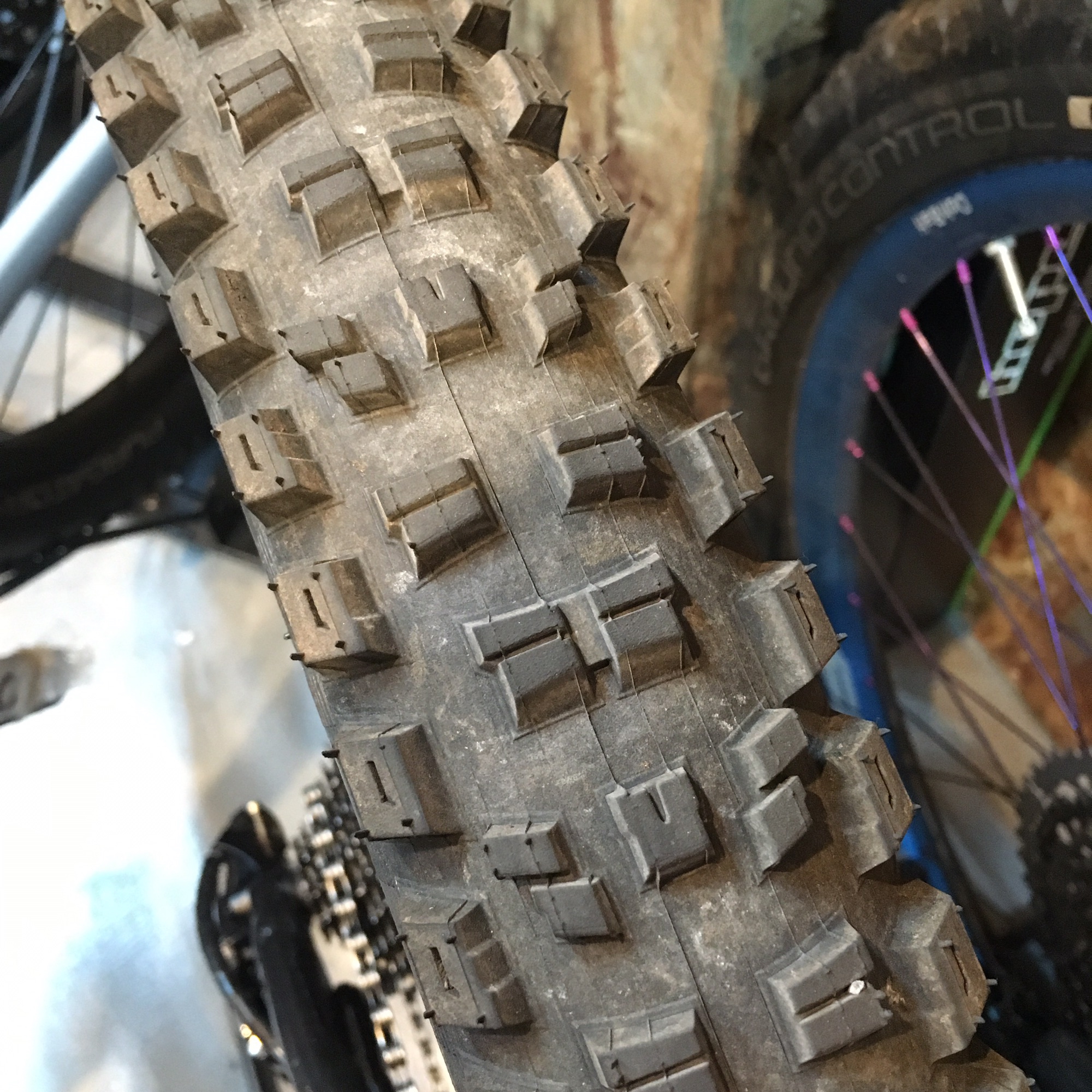 セッティング編】ENSレースレポート | スペシャライズド正規販売店