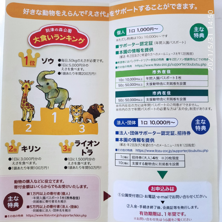 寄付 国連wepよりお礼 動物園のエサ代 二井家 千尋 スピリチュアルカウンセラー 寄付 国連wepよりお礼 動物園のエサ代 二井家 千尋 スピリチュアルカウンセラー