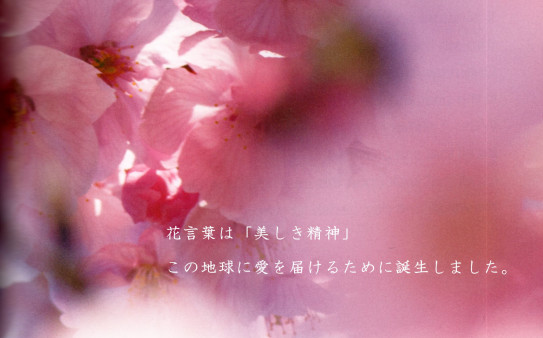 4月7日 8日 陽光桜のお話しと映画鑑賞 Agreable Musee 4月7日 8日 陽光桜のお話しと映画鑑賞 Agreable Musee