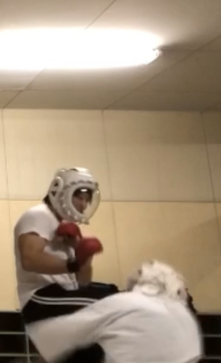 b7125dbdb6469ae903cde796234f31