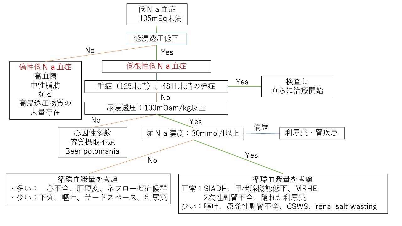 低na血症 診断総論 糖尿病内分泌代謝内科 医局