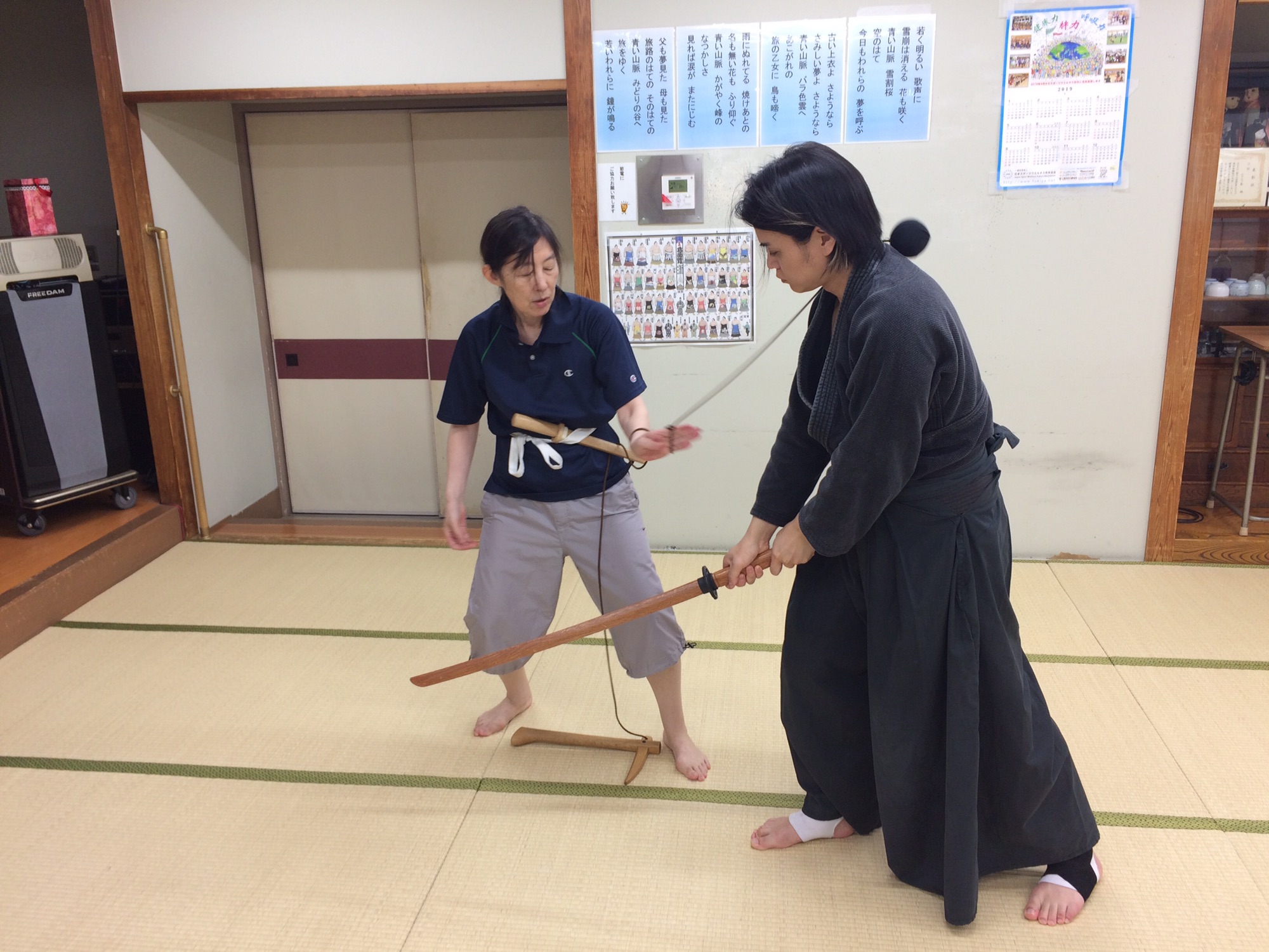 真伝　中和流短剣術・一心流鎖鎌術: 塩川寶祥の遺奥義 真伝中和流短剣術・一心流鎖鎌術 塩川寶祥の遺奥義