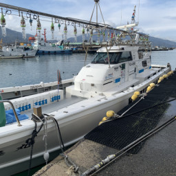 タルイカジギング考察 伊勢湾ジギング日記 志摩沖ジギング 志摩沖キハダキャスティング