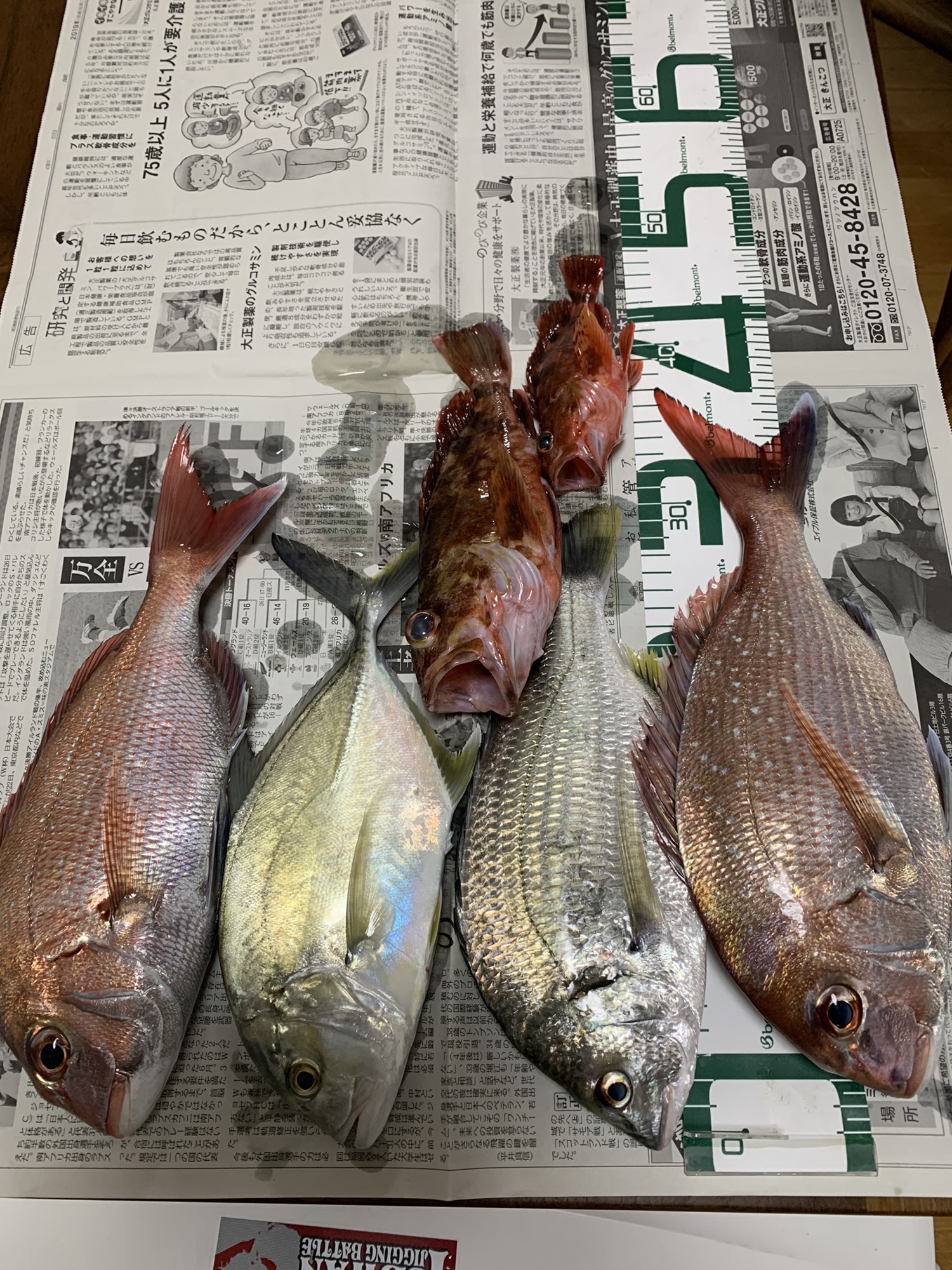 Rushさんでタイラバ 17回目 伊勢湾ジギング日記