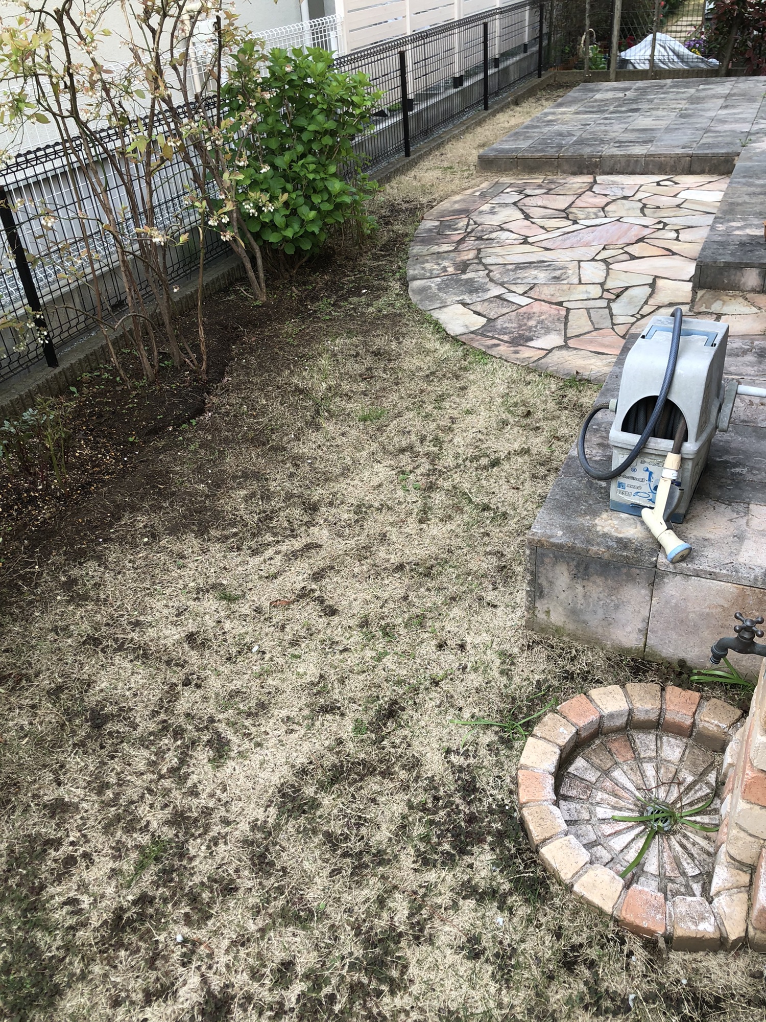 隣の芝生は青く見える 清田屋造園