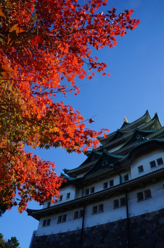 名城公園の紅葉 Zakky S Trekking From Aichi